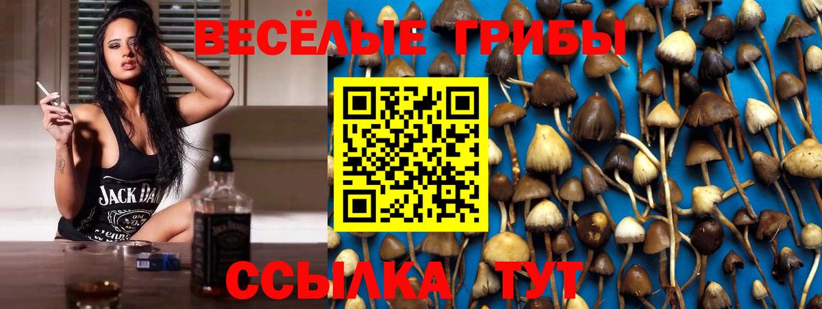 Псилоцибиновые грибы ЛСД Лосино-Петровский